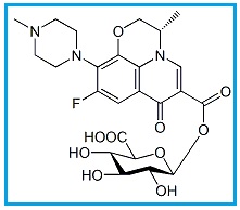 Levofloxacin Acyl-β-D-Glucuronide